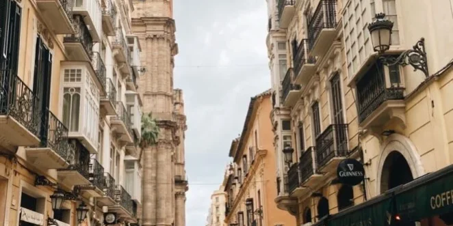 wellboxed.mal_-663×1024