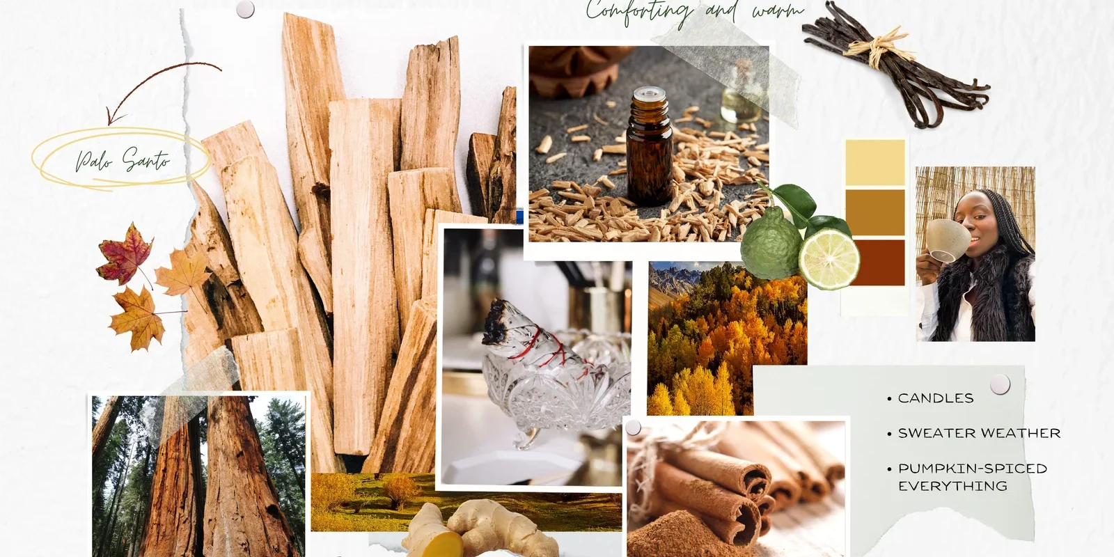 Well-Boxed-MoodBoard-1