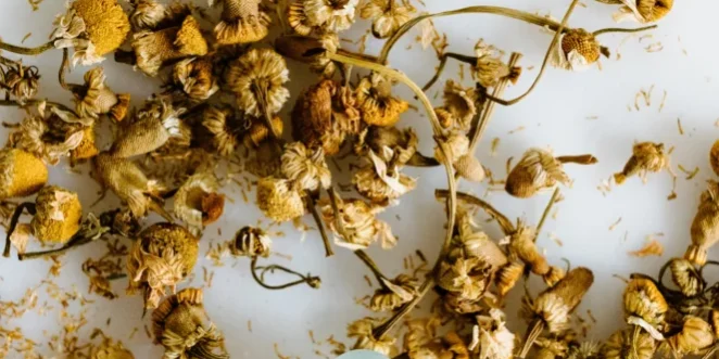 Well-Boxed-Blog-Post-Cover-18-663×1024