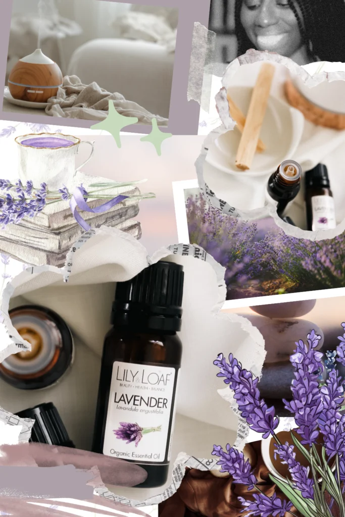 well-boxed-lav-Pinterest-Pin-683×1024